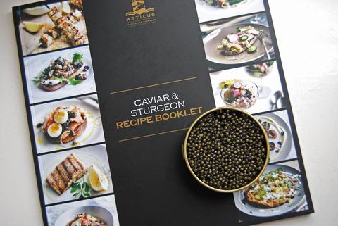 NIEUW KAVIAAR & STEUR RECEPTENBOEK